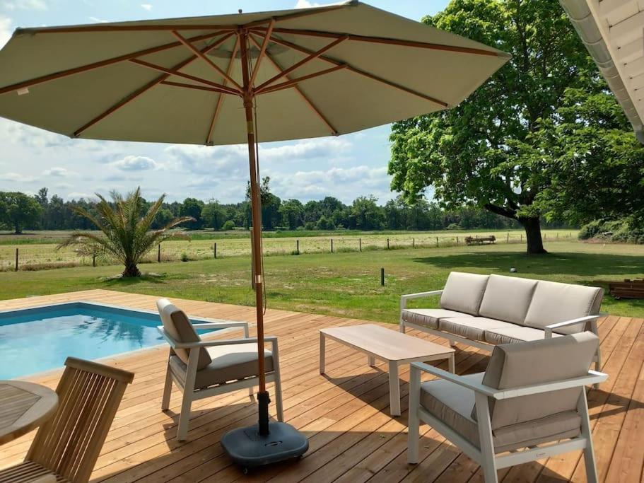 Maison Neuve Avec Piscine Chauffee, 4 Kms De Contis Plage Saint-Julien-en-Born Kültér fotó