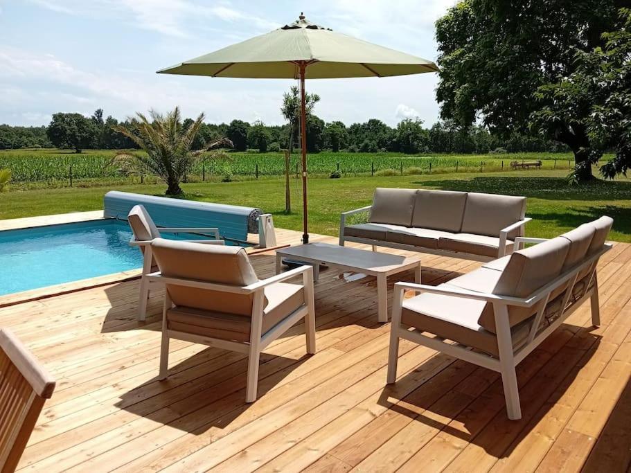 Maison Neuve Avec Piscine Chauffee, 4 Kms De Contis Plage Saint-Julien-en-Born Kültér fotó